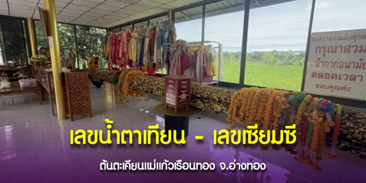 เลขน้ำตาเทียน เลขเซียมซี ต้นตะเคียนแม่แก้วเรือนทอง